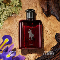 POLO RED PARFUM 150ml-213758 POLO RED PARFUM 150ml-213758 2